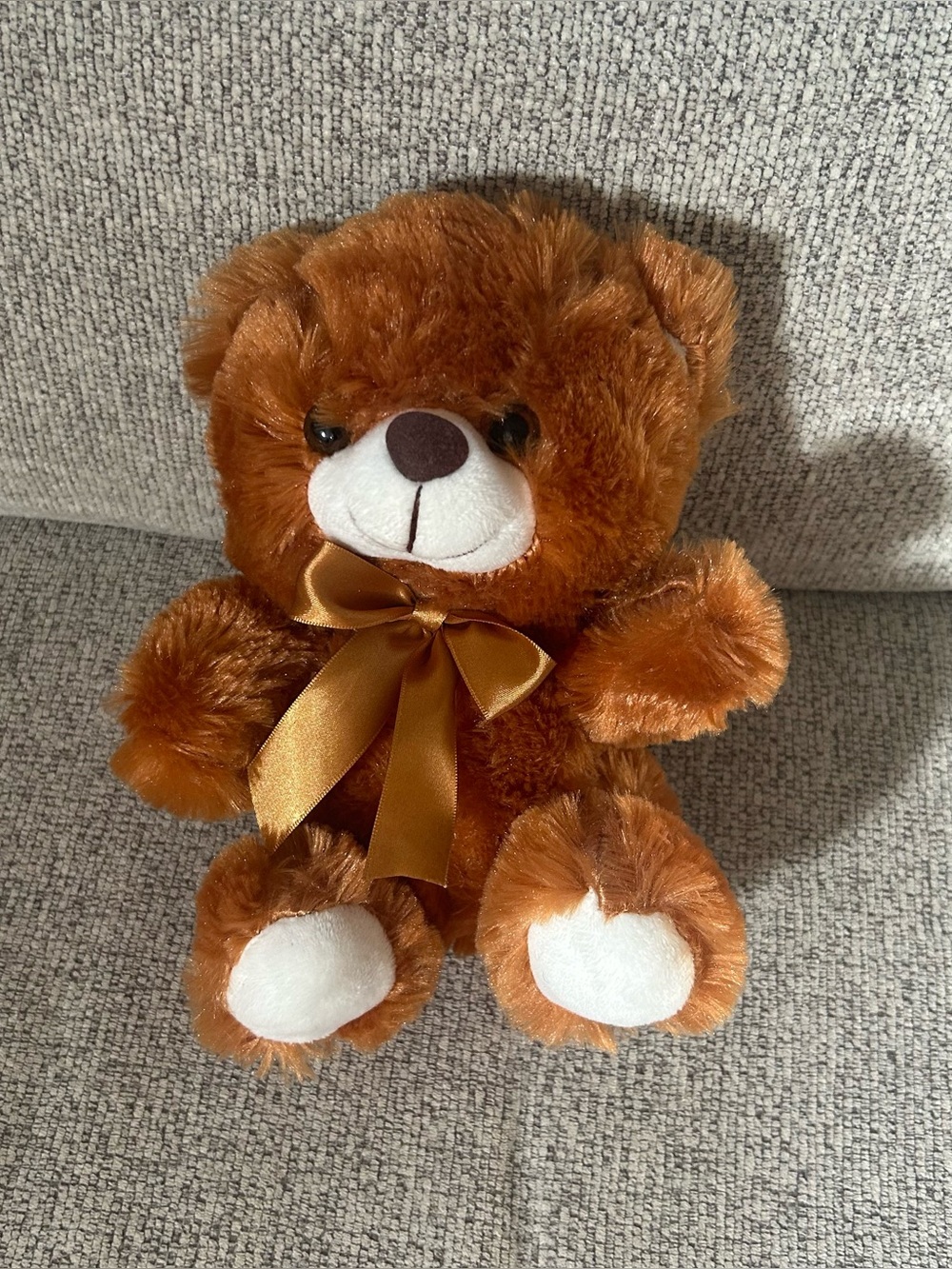 Small Teddy Bear